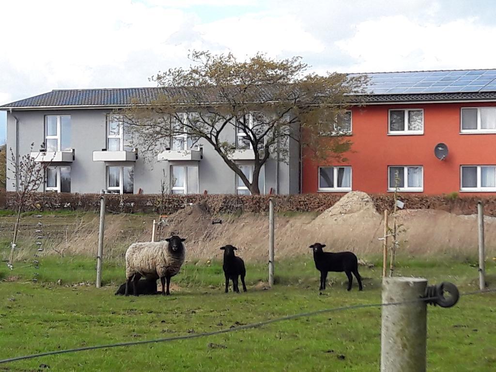 Zum Alten Bahnhof Blunk Exteriör bild
